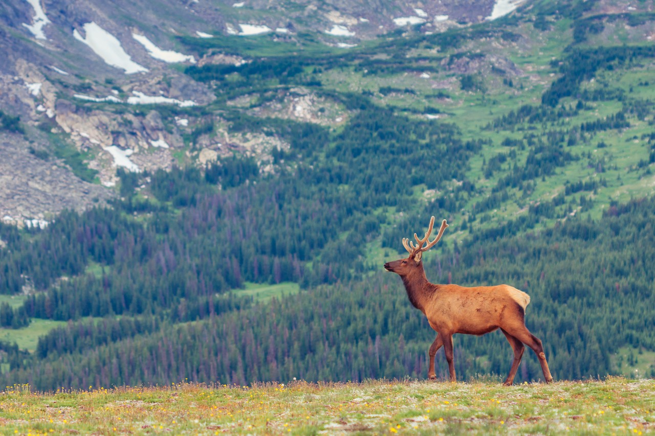 Rocky Mountain National Park